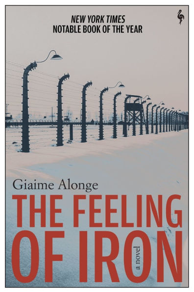 The Feeling of Iron